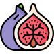 fig (1)