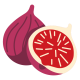 fig (2)