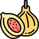 fig (8)
